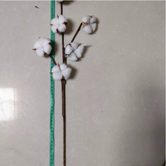Artificial Cotton Stem for Decor